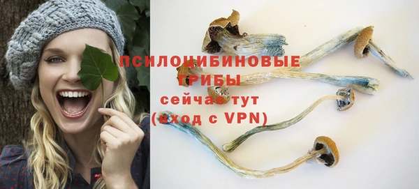 стафф Беломорск