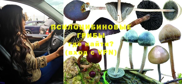бутират Белоозёрский