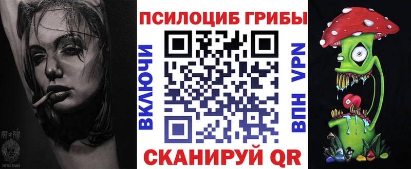Псилоцибиновые грибы Psilocybine cubensis  kraken ТОР  Яхрома  купить закладку 