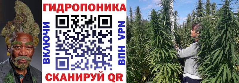 Бошки марихуана VHQ  где купить наркоту  Яхрома 